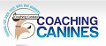 Coaching Canines
